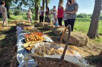 gvt rucna zetva razi (5)