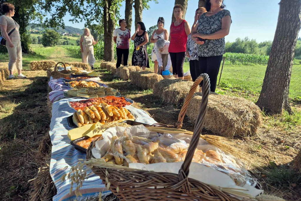 gvt rucna zetva razi (5)