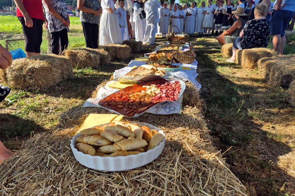 gvt rucna zetva razi (6)