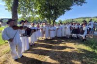 gvt rucna zetva razi (7)