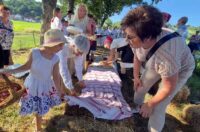 gvt rucna zetva razi (8)