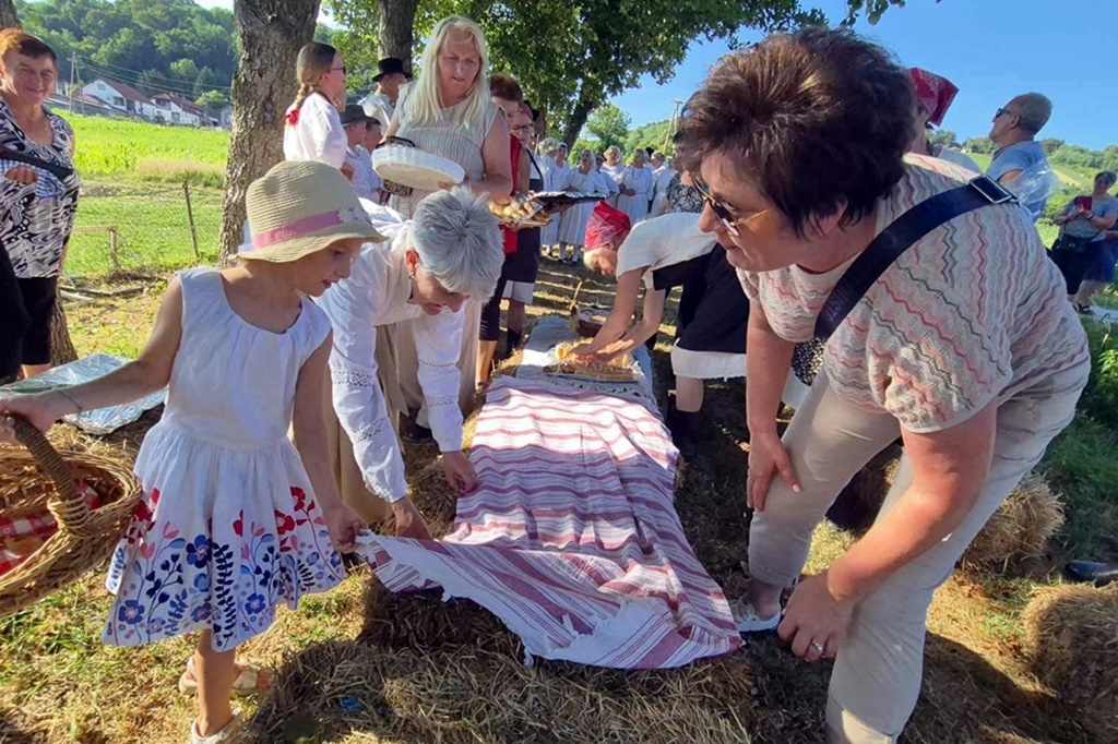 gvt rucna zetva razi (8)