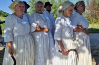 gvt rucna zetva razi (9)