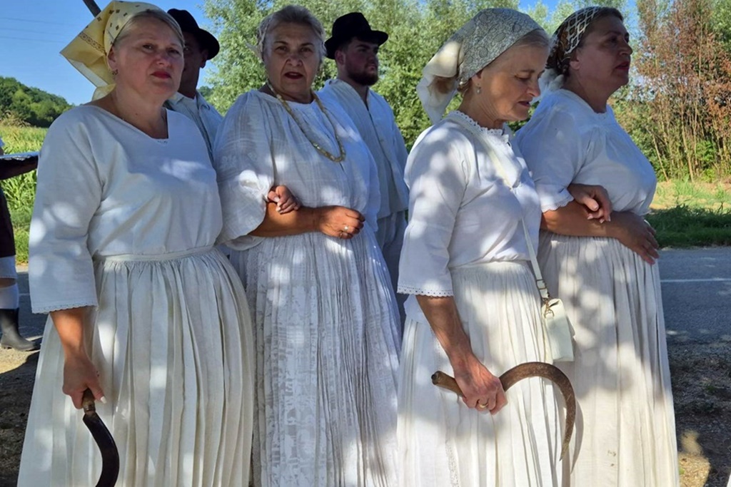 gvt rucna zetva razi (9)