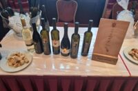 gvt vinarija najman (6)