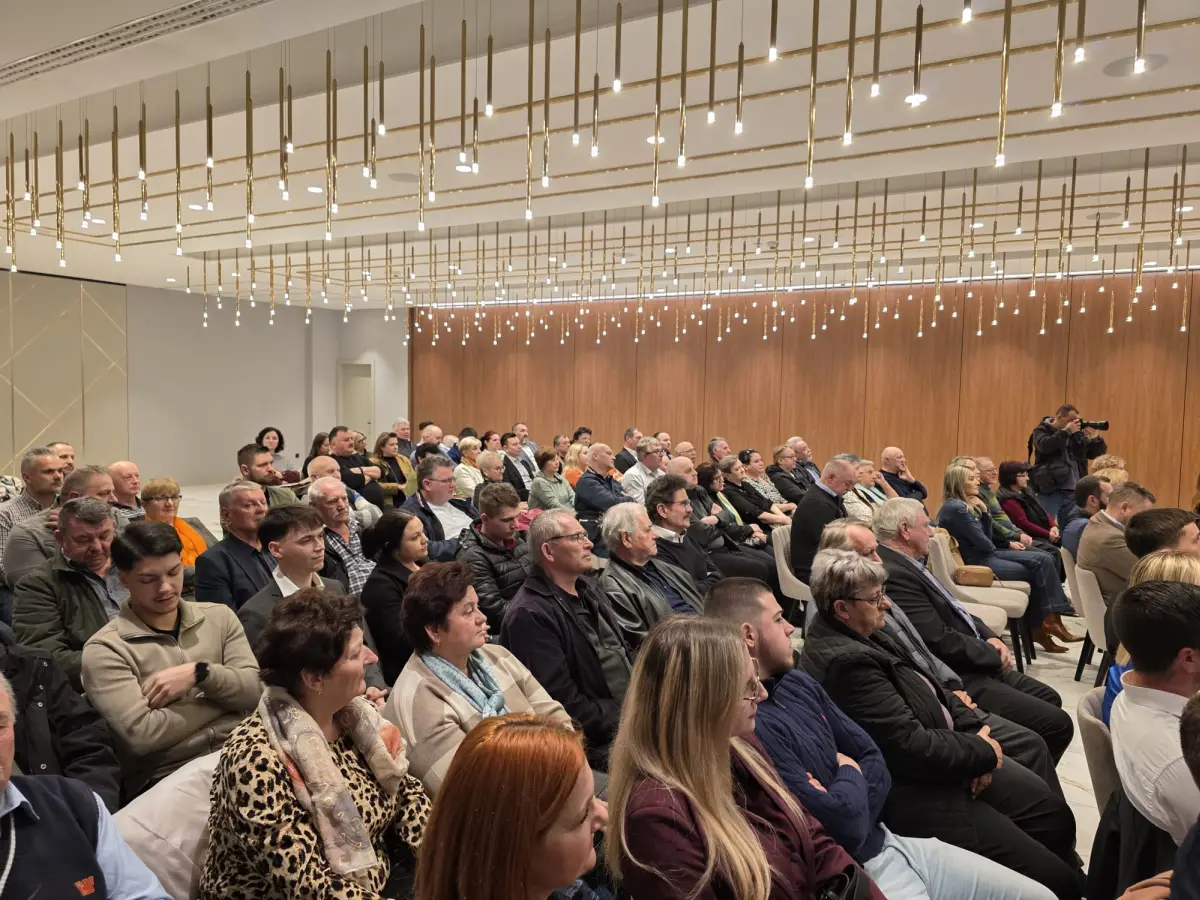 hns darko majhen 11 hns darko majhen 11