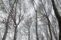 ivanscica snijeg – zoran stanko (2)