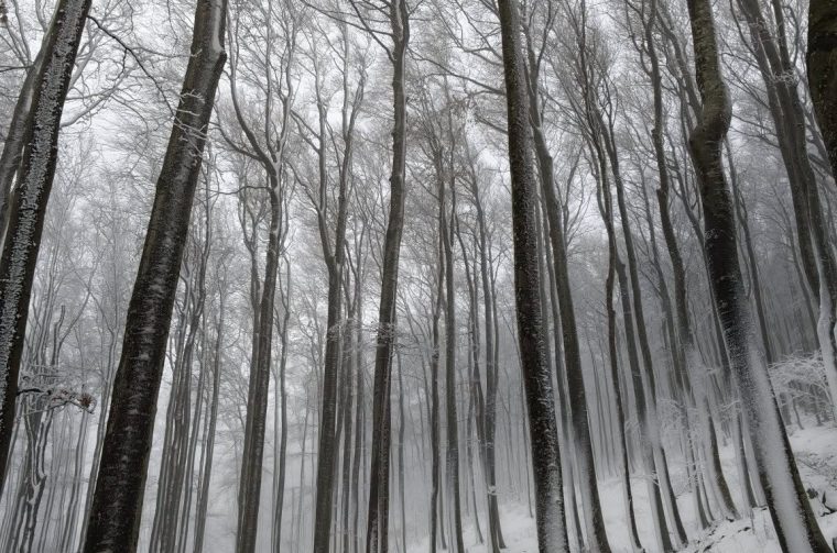 ivanscica snijeg – zoran stanko (2) ivanscica snijeg – zoran stanko (2)