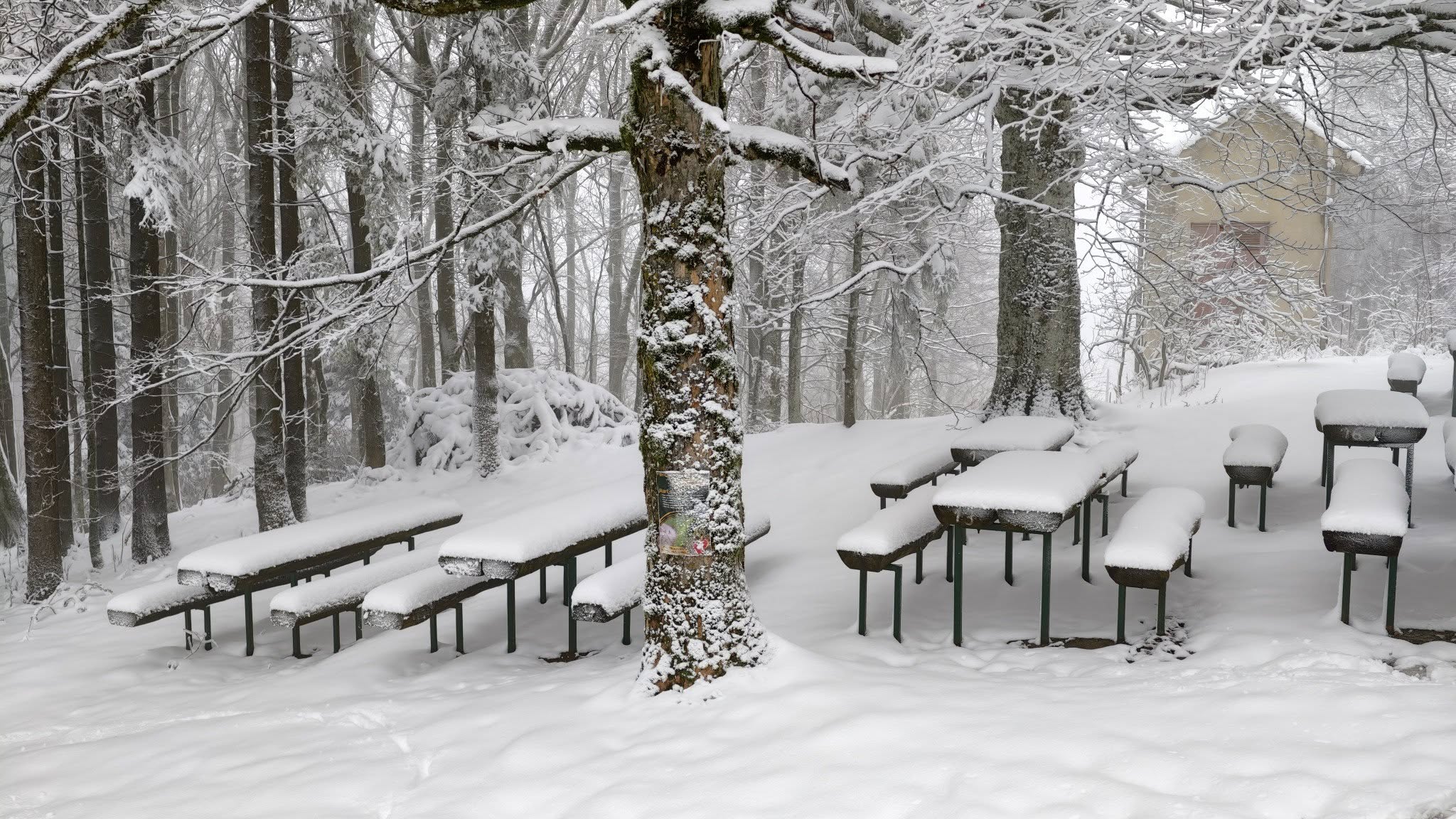 ivanscica snijeg – zoran stanko (3)