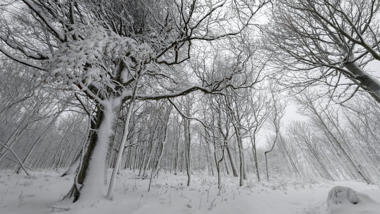 ivanscica snijeg – zoran stanko (4)