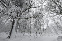 ivanscica snijeg – zoran stanko (4)