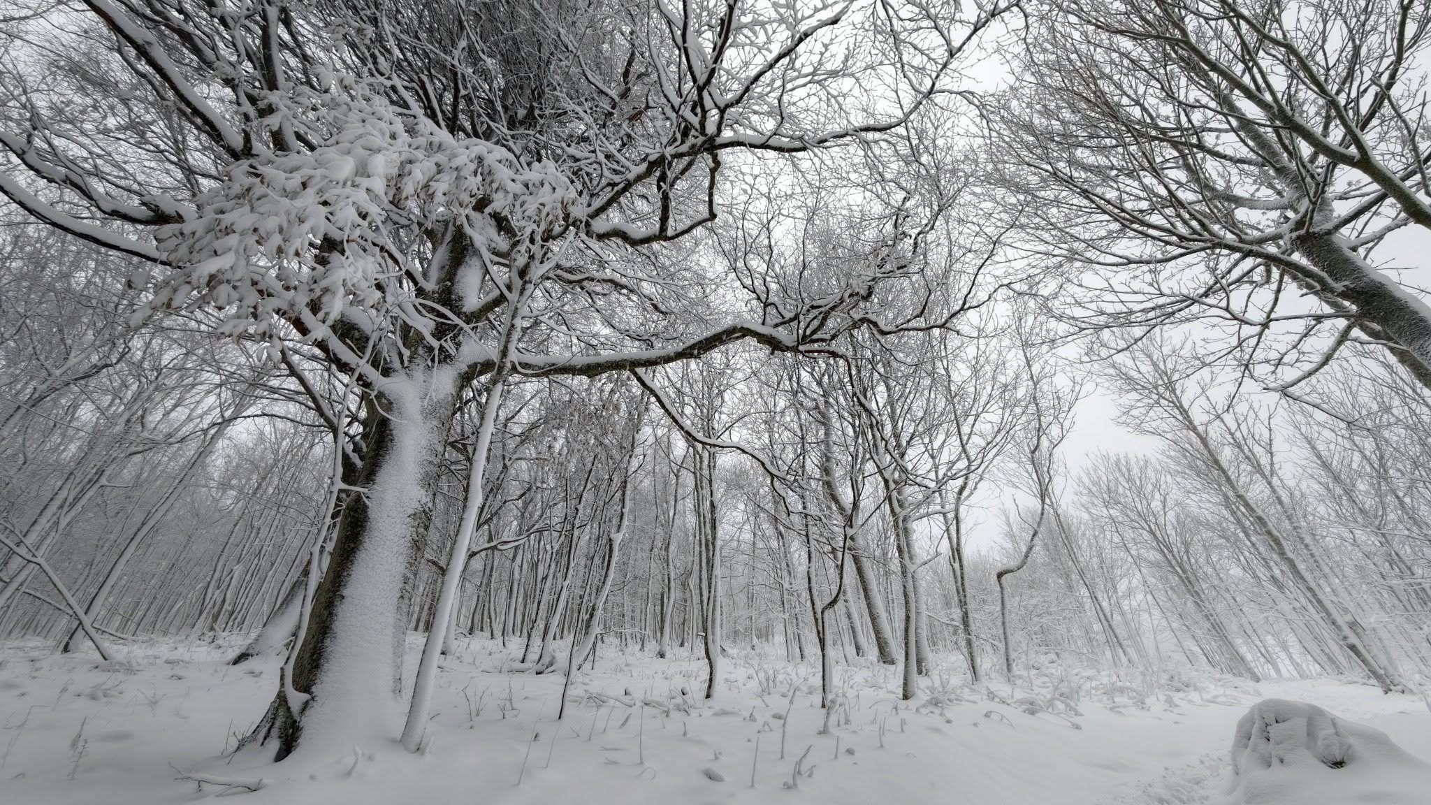 ivanscica snijeg – zoran stanko (4)