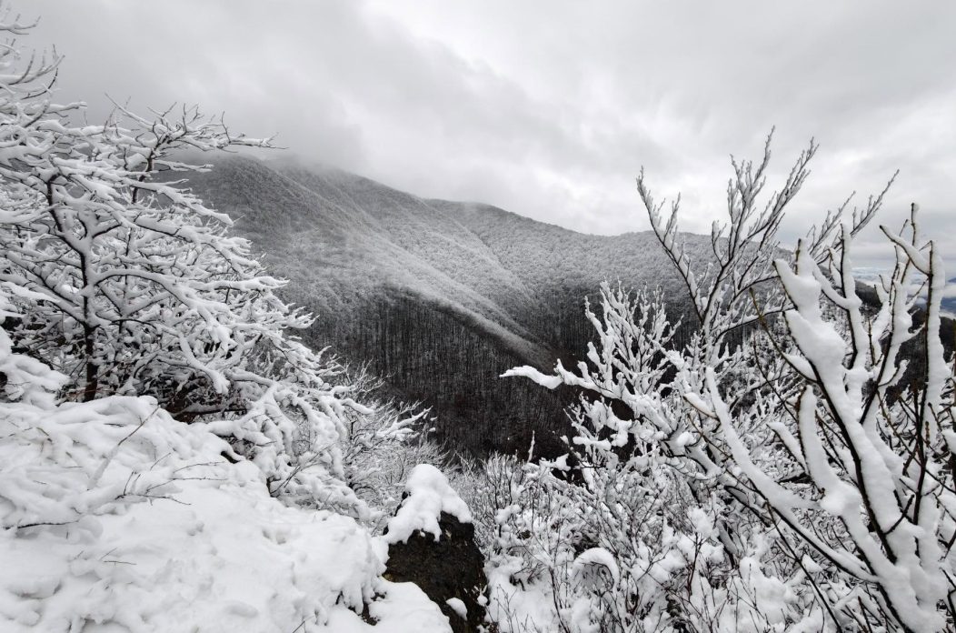 ivanscica snijeg – zoran stanko (5) ivanscica snijeg – zoran stanko (5)