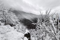 ivanscica snijeg – zoran stanko (5)