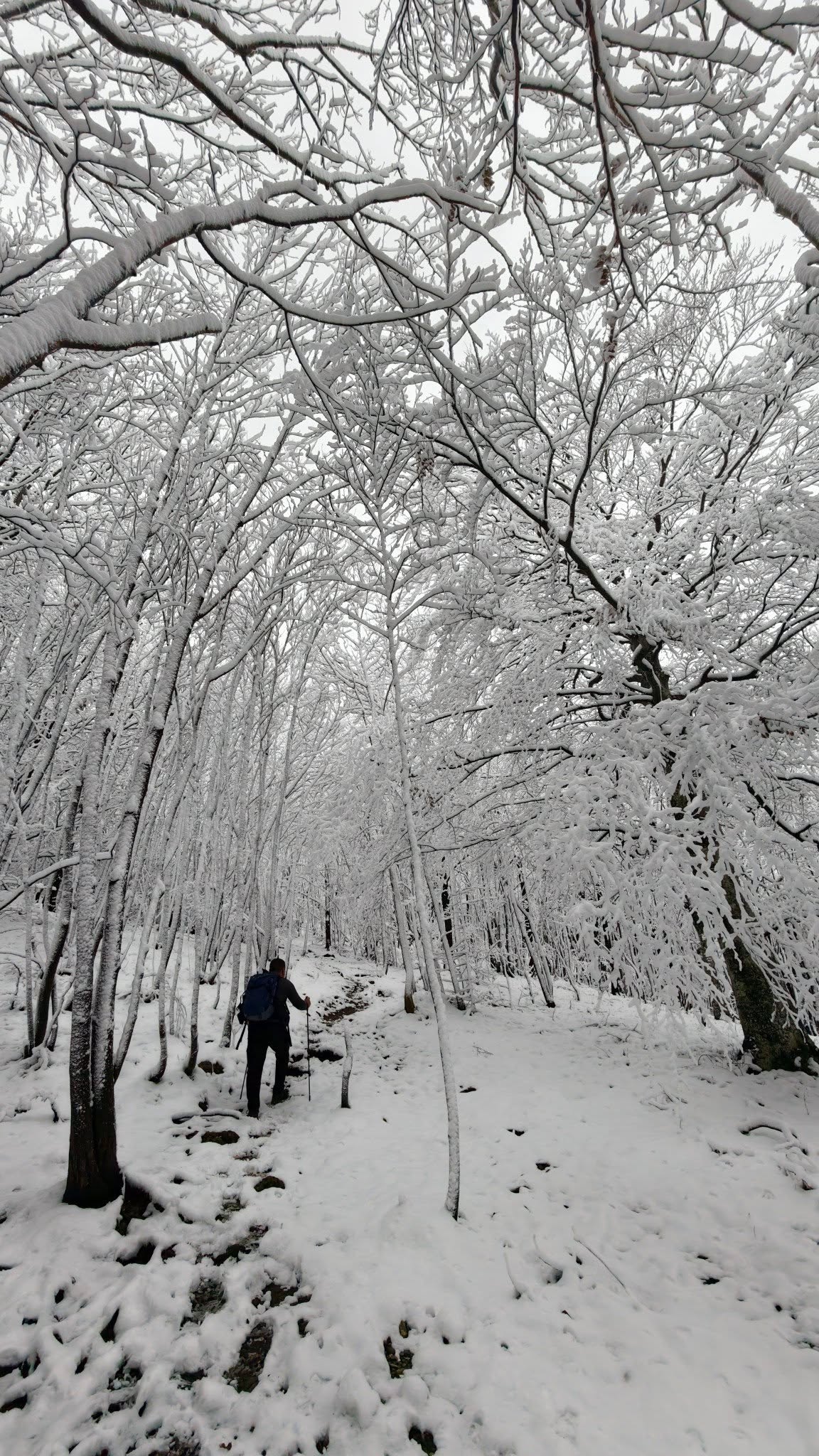 ivanscica snijeg – zoran stanko (6)