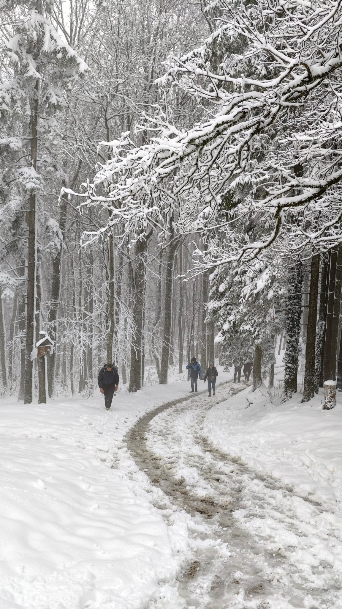 ivanscica snijeg – zoran stanko (8)