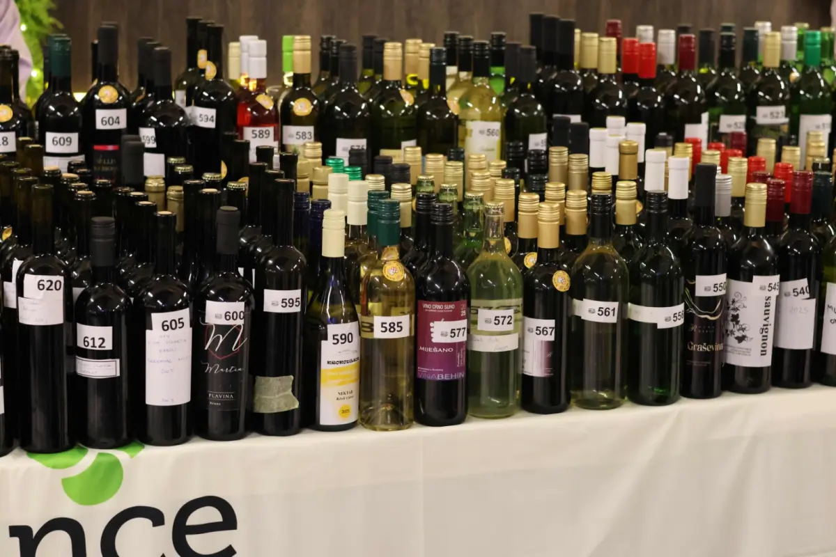izlozba_vina_vincekovo_ludbreg_2026 (12) izlozba_vina_vincekovo_ludbreg_2026 (12)