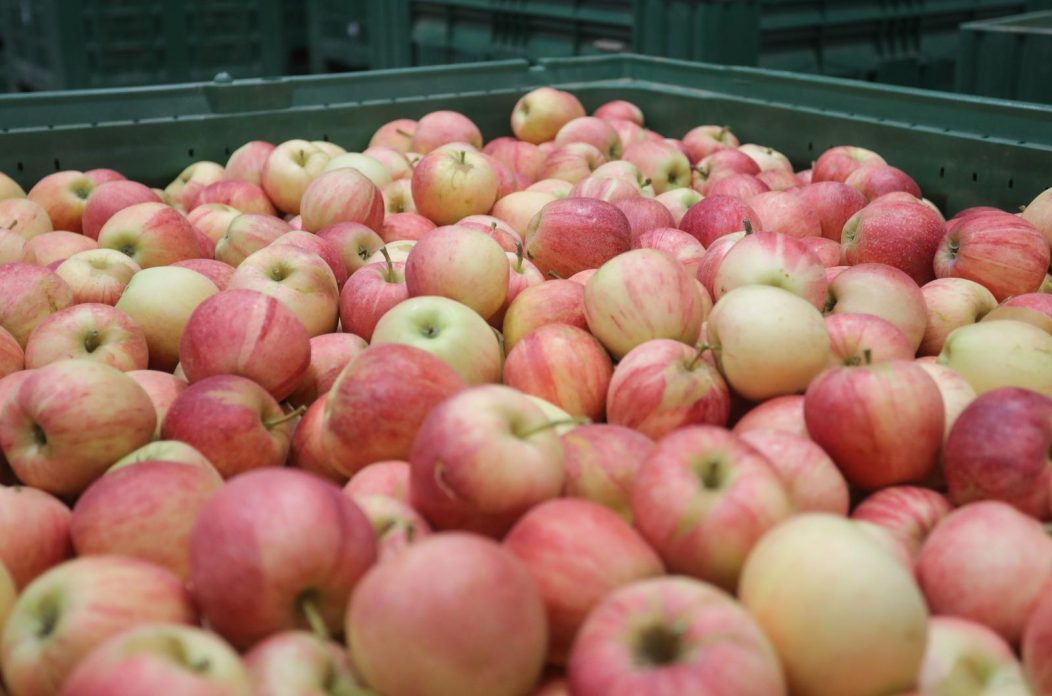 Osijek: Posjet županice Nataše Tramišak Regionalnom distribucijskom centru Osječko-baranjske županije Osijek: Posjet županice Nataše Tramišak Regionalnom distribucijskom centru Osječko-baranjske županije