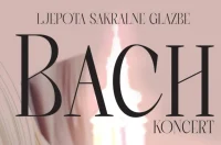 jelena stefanic plakatbach