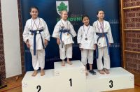 karate klub klenovnik-turnir (16) karate klub klenovnik-turnir (16)