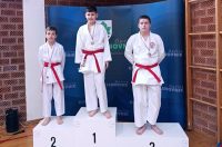 karate klub klenovnik-turnir (17) karate klub klenovnik-turnir (17)