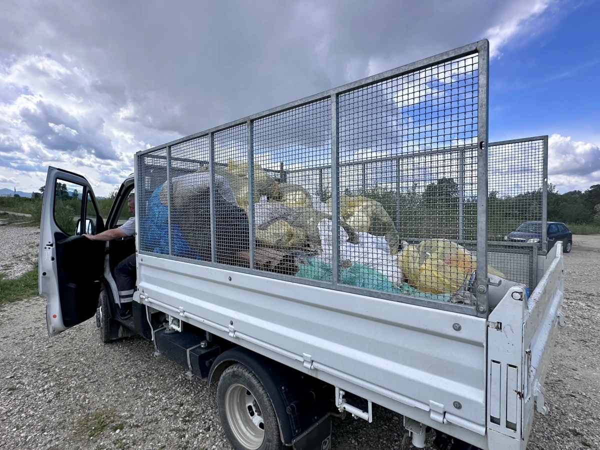 kavica dravica 04 kavica dravica 04