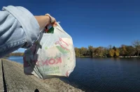 kavica i cista dravica 18 kavica i cista dravica 18