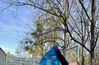 kavica i cista dravica 24 kavica i cista dravica 24