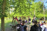 kavica i čista dravica čisteći medvjedići (3)