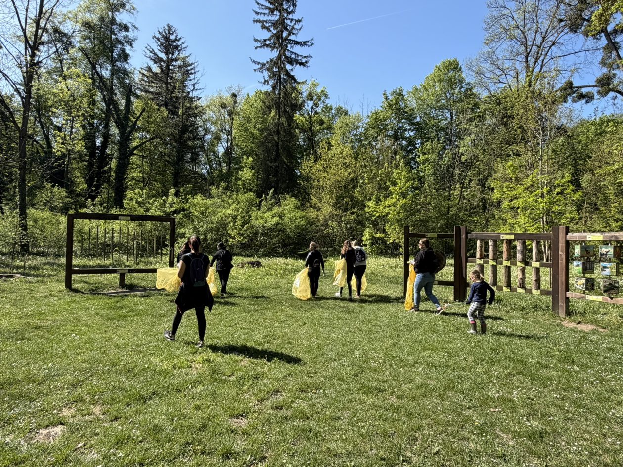 kavica i čista dravica čisteći medvjedići (7)