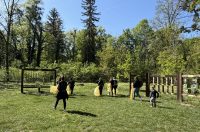 kavica i čista dravica čisteći medvjedići (7)