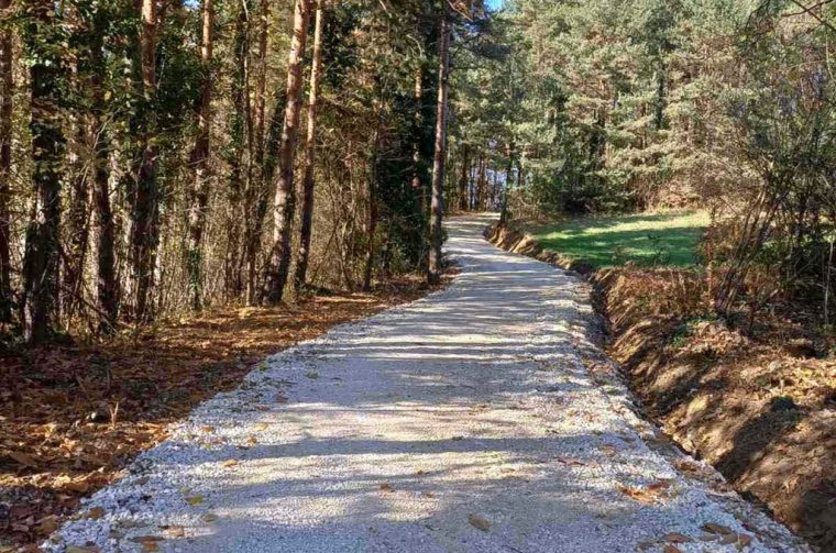 klenovnik – šumski putovi (5) klenovnik – šumski putovi (5)