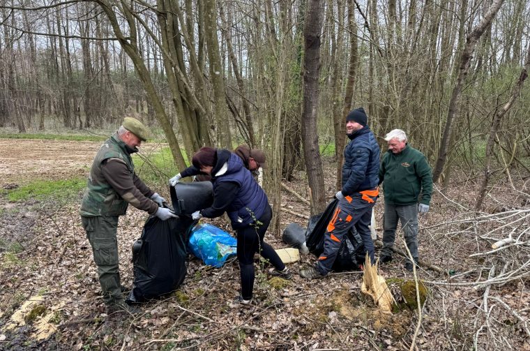 klenovnik-zelena cistka (22) klenovnik-zelena cistka (22)
