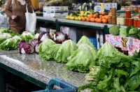 klikom po placu (13)