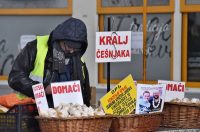 klikom po placu (15)