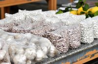 klikom po placu (20)