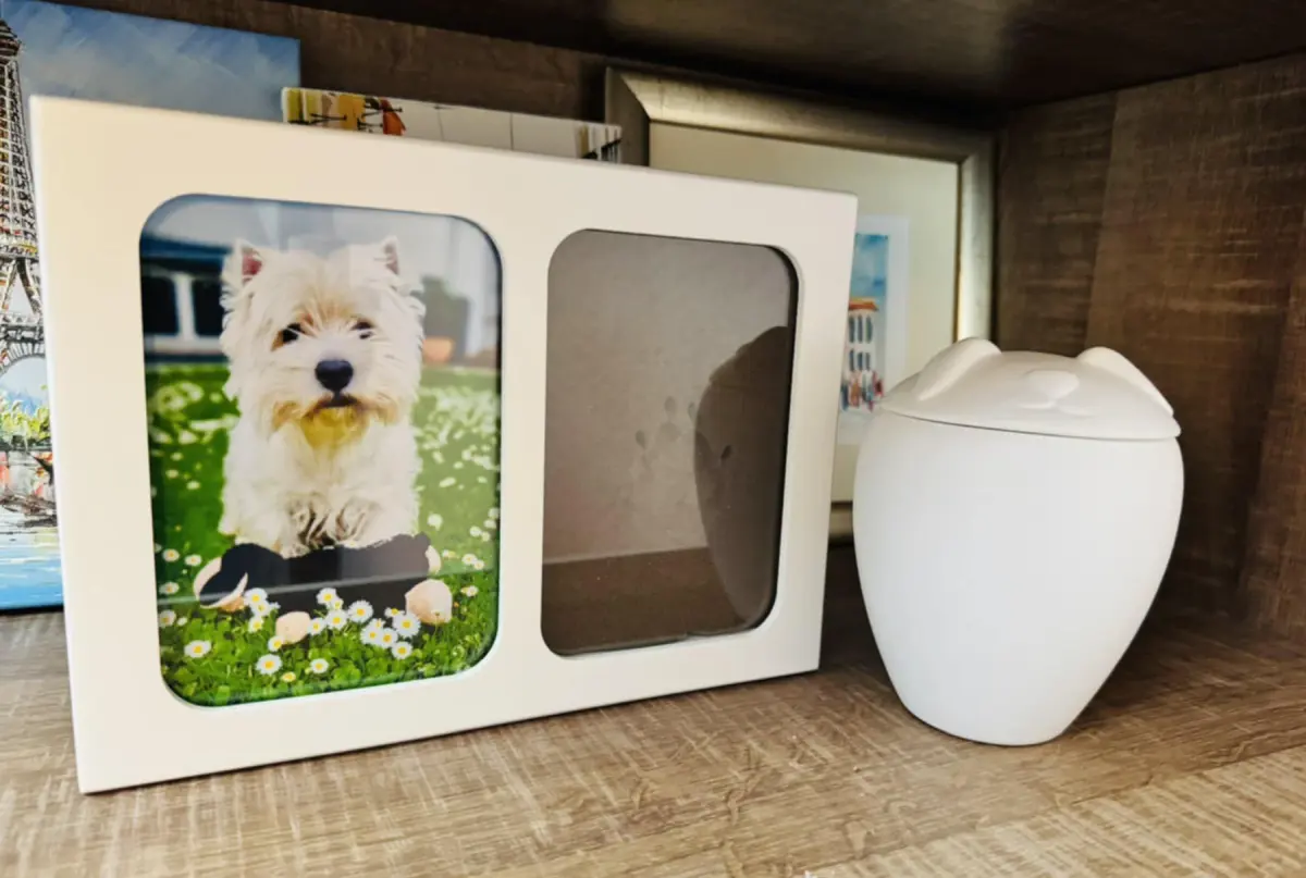 krematorij damjan megloba 05 krematorij damjan megloba 05