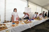 kud klenovnik (1) kud klenovnik (1)