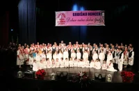 kud marof (7) kud marof (7)