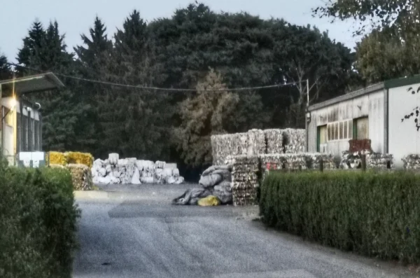 lotus 91 – foto goran stimec