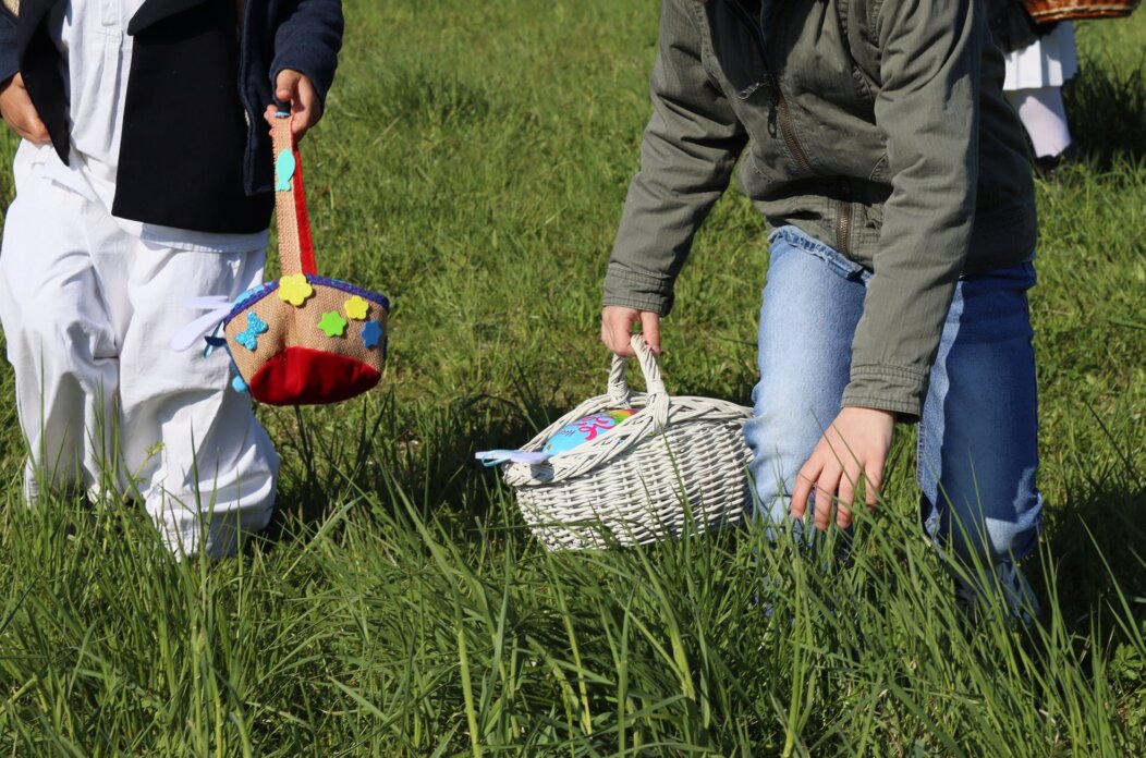 lov na pisanice – ctk