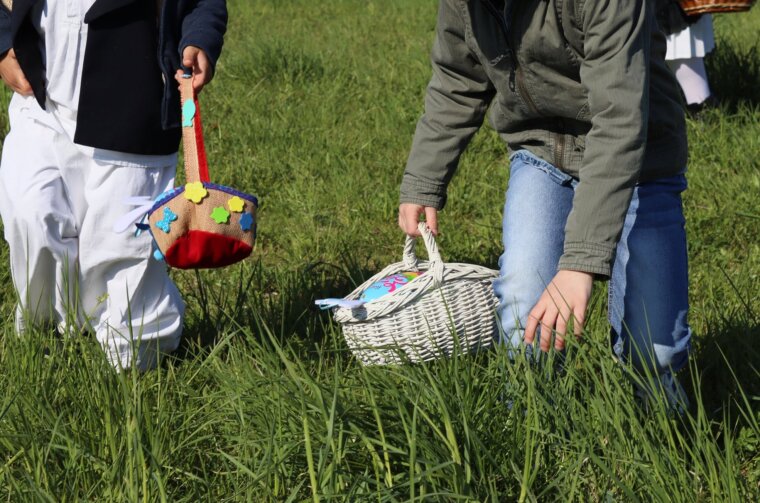 lov na pisanice – ctk