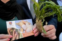 ludbreski_hren_postanska_marka (1)