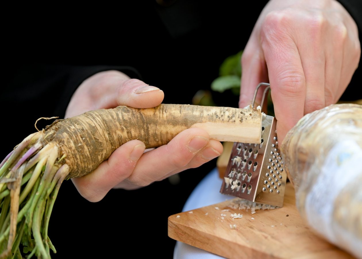 ludbreski_hren_postanska_marka (10)