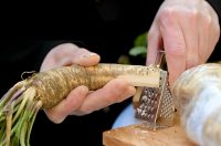 ludbreski_hren_postanska_marka (10)