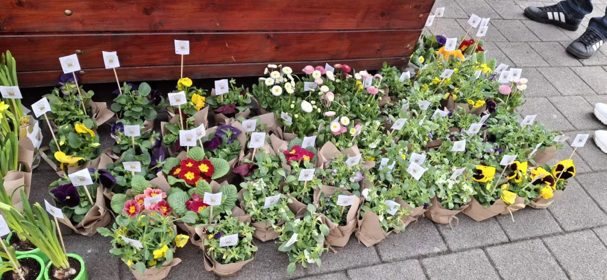 mali zadrugari III osnovna skola 2