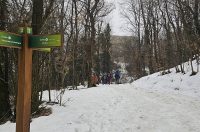 marof-grebengrad (6)