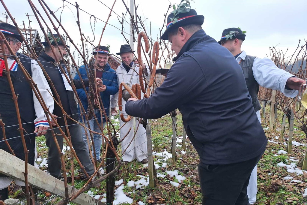 martijanec-vincekovo (10) martijanec-vincekovo (10)