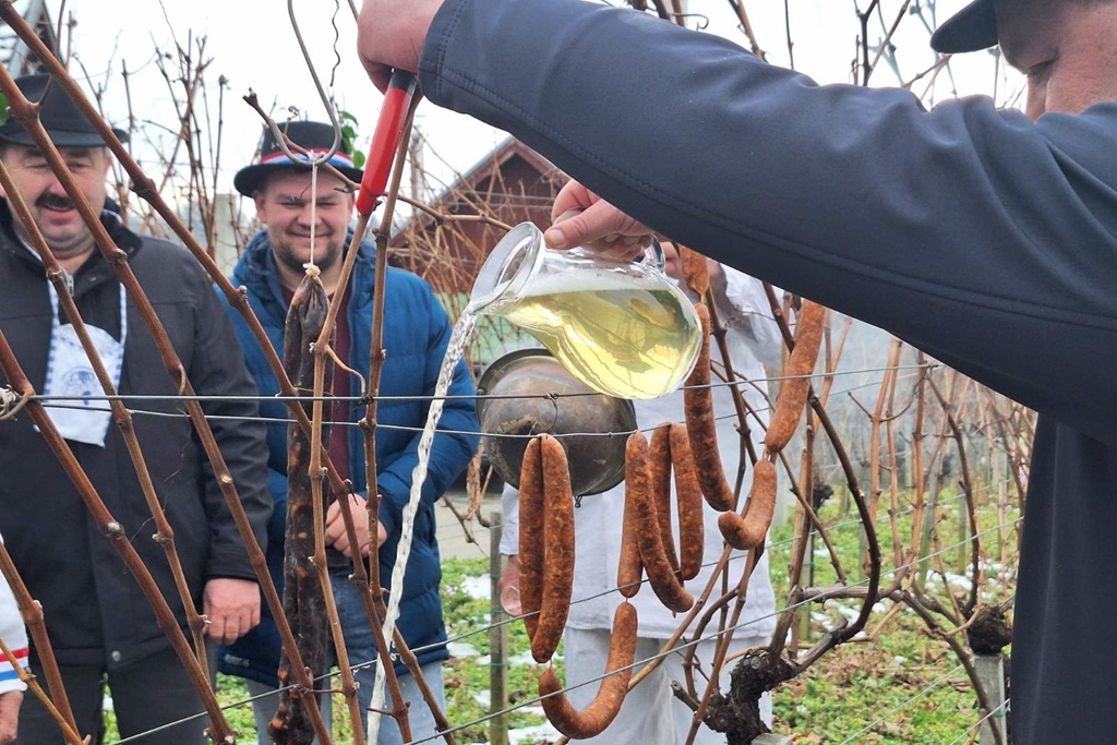 martijanec-vincekovo (11) martijanec-vincekovo (11)