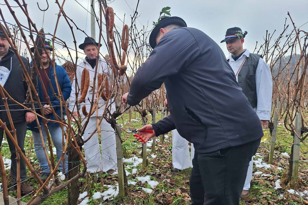 martijanec-vincekovo (15) martijanec-vincekovo (15)